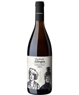 Massimago Duchessa Allegra Garganega 2023