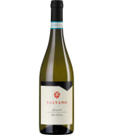 Salvano Langhe Riesling 2023