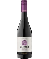 Aliwen Pinot Noir Reserva 2019