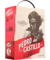 Pedro del Castillo Red Blend 2020 bag-in-box