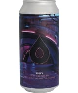 Polly's The Lights That Lead These Streets DDH IPA can