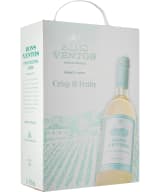 Bons Ventos Crisp & Fruity 2023 bag-in-box