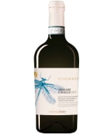 Cantina Tollo Trebbiano D'Abruzzo Biologico 2023