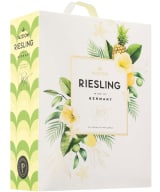 Pazzione Riesling 2021 hanapakkaus