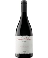 Amador Medrano Terra 2021