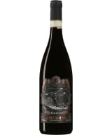 Pegasus Amarone della Valpolicella 2017